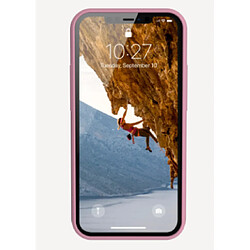 Urban Armor Gear Anchor coque de protection pour téléphones portables 17 cm (6.7') Housse Rose