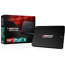 Disque Dur SSD Biostar S100 120Go S-ATA