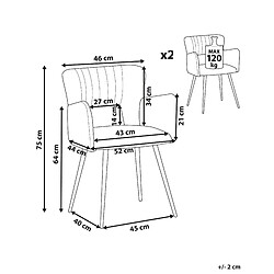 Avis Beliani Chaise de salle à manger SANILAC Set de 2 Velours Gris
