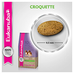 Croquettes pour chien