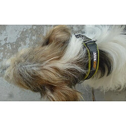 Avis YAGO Collier en Cuir Noir et Vert Souple et Reglable pour grand chien, taille L 43-52 cm