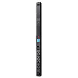 Système d'Alimentation Sans Interruption Interactif APC PDU 2G 3680 W