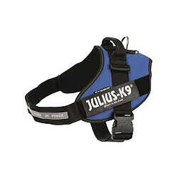 JULIUS K9 Harnais Power IDC 3?XL-XXL : 82?115 cm - 50 mm - Bleu - Pour chien 