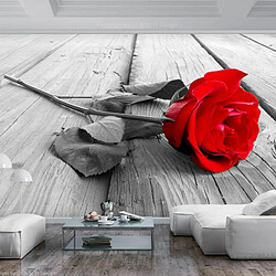 Paris Prix Papier Peint Abandoned Rose 105 x 150 cm