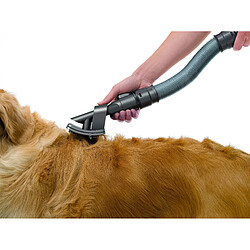 Dyson Brosse pour chien GROOM