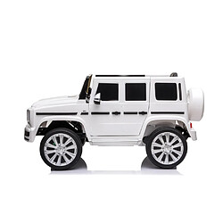 Véhicule électrique MERCEDES BENZ G500