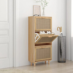 vidaXL Armoire à chaussures Marron 52x25x115cm Bois d'ingénierie/rotin