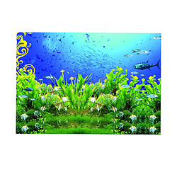 Décoration de mur de réservoir de poissons autocollant fond aquarium coloré XXL