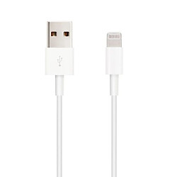 ? Câble Lightning vers USB 2.0 - 2M Blanc 