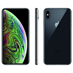 Apple iPhone XS Max 256 Go Gris Sidéral - débloqué tout opérateur - Reconditionné