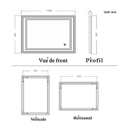 Acheter Miroir de salle de bain avec lumières Led 100x60cm (LxH)