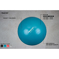 Avis Avento Ballon de fitness/d'exercice Diamètre 65 cm Argenté