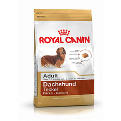 Royal Canin Race Dachshund-Teckel Adult