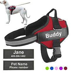 Justgreenbox Gilet Réfléchissant Réfléchissant pour Chien Harnais Personnalisé, Rouge, XS