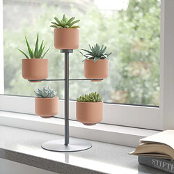 Umbra Support à plantes avec 5 pots Terrapotta.