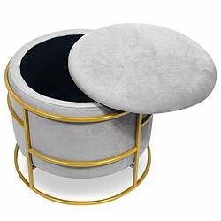 Paris Prix Pouf & Coffre de Rangement Gorin 43cm Argent