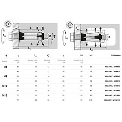 Cheville multimatériaux charges lourdes Scellit acier zingué XMAXBOLTM06X60