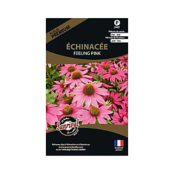 Sanrival Graines de fleurs premium échinacée Feeling pink annuelle