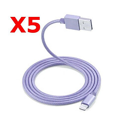 Little Boutik X5 Câble Metal Nylon Renforcé Chargeur USB Couleur Argent pour IPhone 1,5m Tréssé Compatible IPhone 5s 6 6S 7 8 X X5 Couleur 