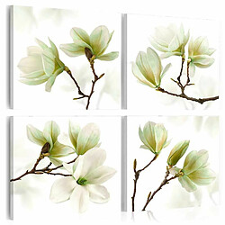 Paris Prix Tableau Imprimé Admiration of Magnolia 60 x 60 cm 