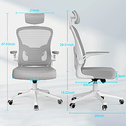 Acheter BIGZZIA Chaise de Bureau - Ergonomique Siège-Fauteuil avec 2D Accoudoirs, Hauteur Appui-tête Soutien Lombaire Dossier Règalable Gris