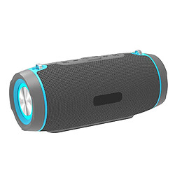 Yonis Enceinte Bluetooth Étanche IPX6 Avec FM Et AUX