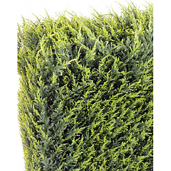 Pegane HAIE artificielle haute gamme Spécial extérieur / Cyprès artificiel Juniperus vert - Dim : 152 x 31 x 100 cm