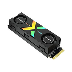 PNY - CS3150 XLR8 Gaming EPIC-X RGB - Disque dur SSD Interne - 1To - M.2 NVMe - RGB Heatsink (M280CS3150XHS-1TB-RB)