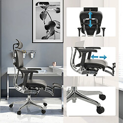 Chaise de bureau / fauteuil de direction ERGOHUMAN PLUS LEGPRO GEN2 cuir avec repose-jambes résille noir hjh OFFICE pas cher