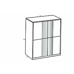 Inside 75 Armoire JUDE 135 x 198 cm 2 portes coulissantes miroir intégré décor graphite façade digi-steel-optic