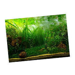 Fond d'Aquarium Vivid, Adhésif Affiche Fish Tank Wall Decor Sticker Waterweeds XL pas cher