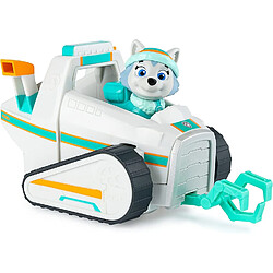 Avis Spin Master Véhicule de neige Paw Patrol avec Everest