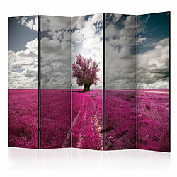 Paris Prix Paravent 5 Volets Magenta Meadow 172x225cm