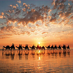 Educa Borras Puzzle 1000 pcs Golden sunset on Cable Beach Australie