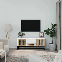 Maison Chic Meuble TV scandinave - Banc TV pour salon blanc 105x30x45 cm bois d'ingénierie et fer -MN55193