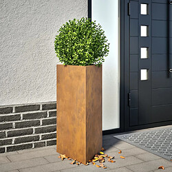 vidaXL Jardinière triangulaire 40x34,5x70 cm acier corten