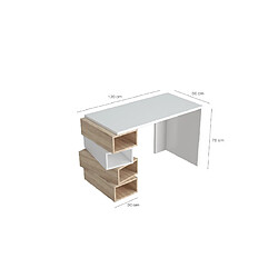 Avis EPIKASA Bureau Moderne Damon