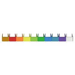 RH87 Lot de 10 Clips d'identification colorés Mipro 