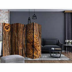 Paris Prix Paravent 5 Volets Old Tree 172x225cm