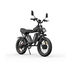 Vélo Électrique Ridstar Q20 - Dual Moteurs 750W*2 Dual Batteries 48V20Ah*2 Pneus 20" Freins à Disque Hydrauliques - Noir