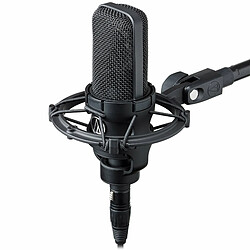 Microphone