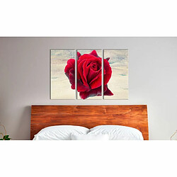 Paris Prix Tableau Imprimé Lyrical Rose 40 x 60 cm