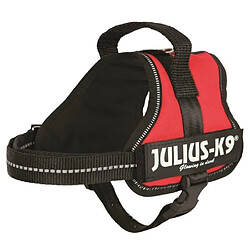 Julius K9 Harnais Power Julius-K9 - Mini-Mini - S : 40-53 cm-22 mm - Rouge - Pour chien