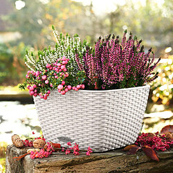 LECHUZA Jardinière BACINO Cottage ALL-IN-ONE 30x30 cm blanc