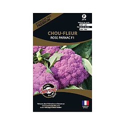 Sanrival Graines potagères premium chou Chou-fleurs Rose Parnac