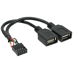 Câble adaptateur InLine® USB 2.0 interne 2x USB Une tête femelle à la carte mère