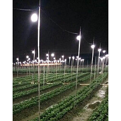 LED élèvent le spectre complet d'ampoules pour la lumière blanche de légumes de plantes à fleurs