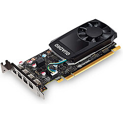 HP Carte graphique NVIDIA Quadro P620 2 Go 