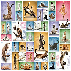 Eurographics Yoga cats Puzzle 1000 piAces