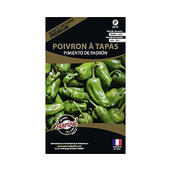 Sanrival Graines potagères premium poivron Padron spécial tapas